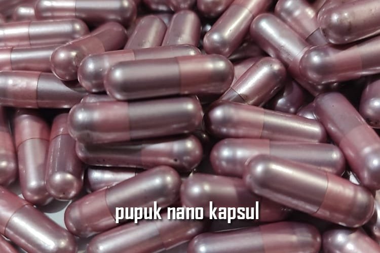 iptek 2